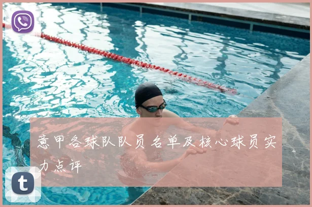 意甲各球队队员名单及核心球员实力点评