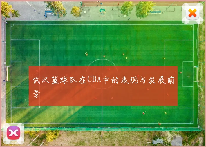 武汉篮球队在CBA中的表现与发展前景
